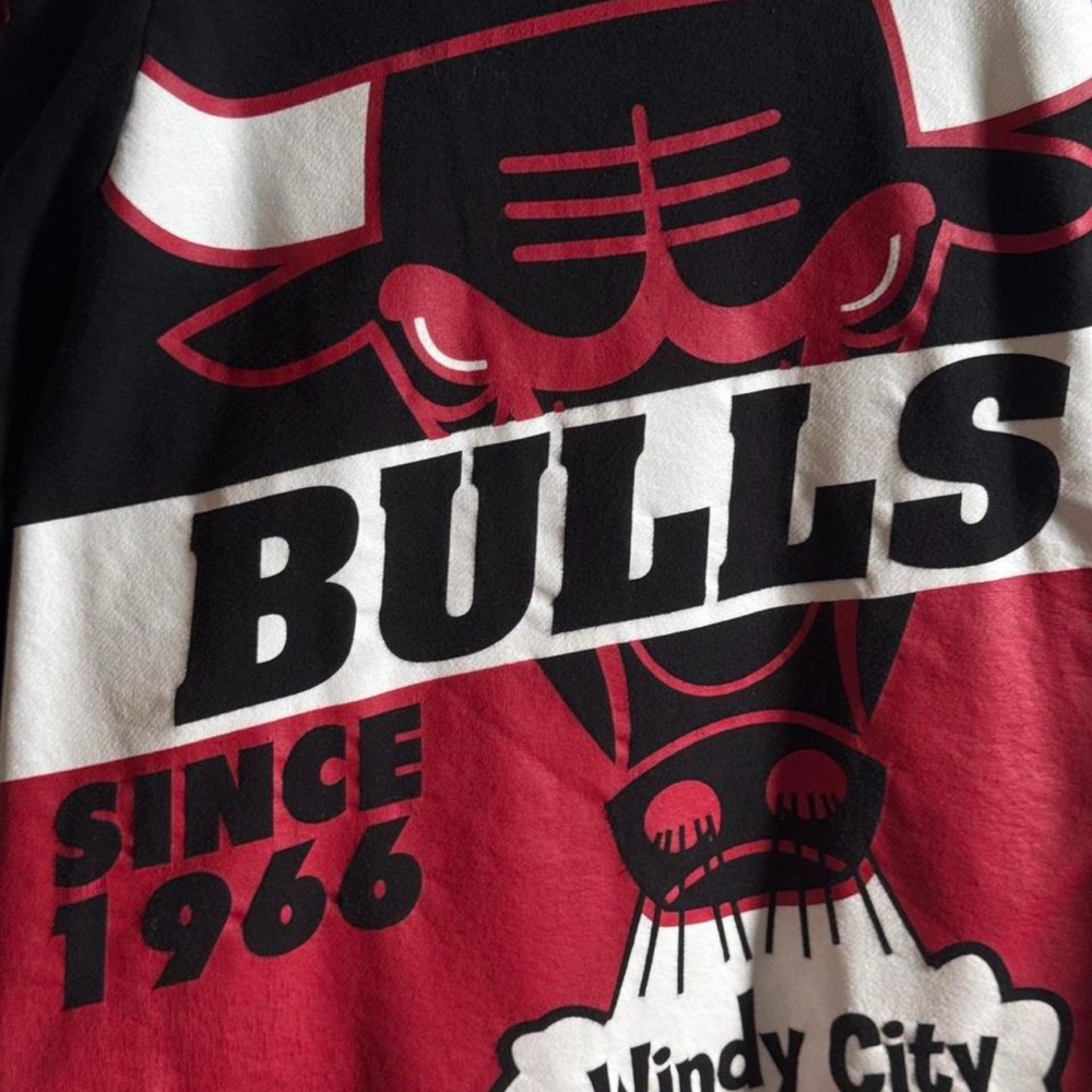 Vintage Chicago Bulls Graphic T-Shirt